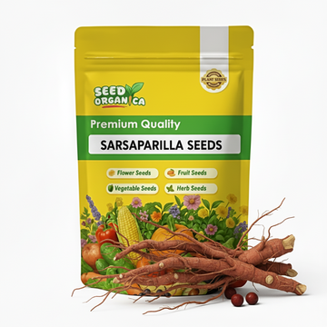 Sarsaparilla Seeds