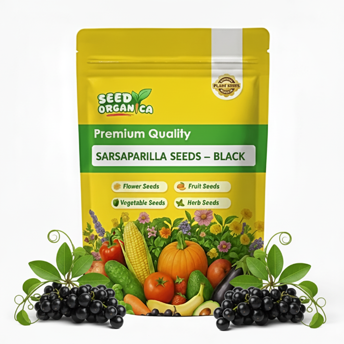 Sarsaparilla Seeds – Black