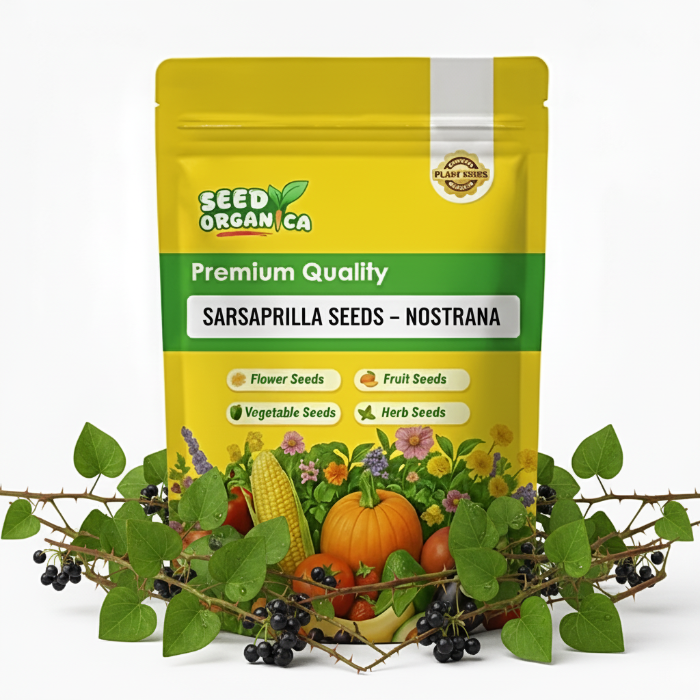 Sarsaparilla Seeds – Nostrana