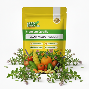 Savory Seeds – Summer