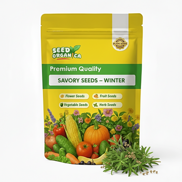 Savory Seeds – Winter