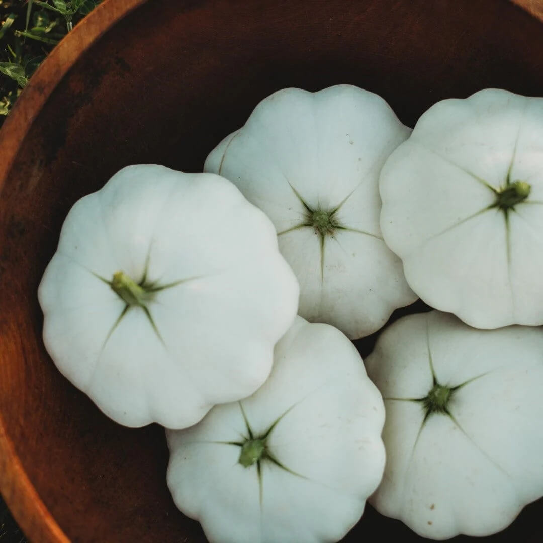 Scallop Squash Seeds - White