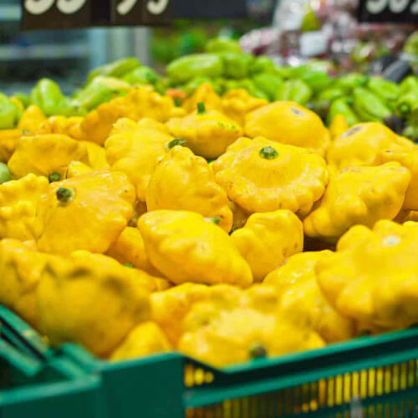 Scallop Squash Seeds - Yellow
