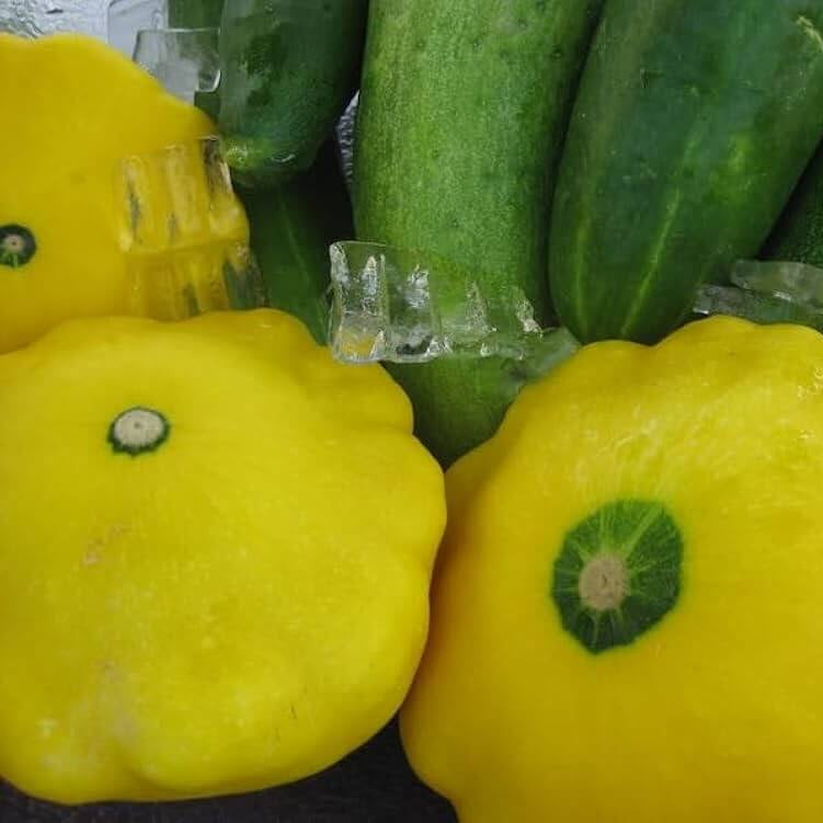 Scallop Squash Seeds - Yellow