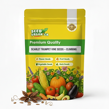 Scarlet Trumpet Vine Seeds – Climbing