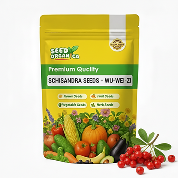Schisandra Seeds – Wu-Wei-Zi