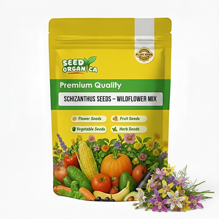 Schizanthus Seeds – Wildflower Mix