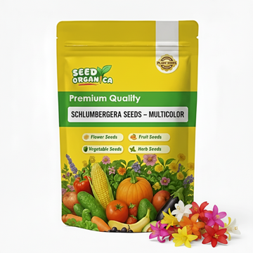 Schlumbergera Seeds – Multicolor