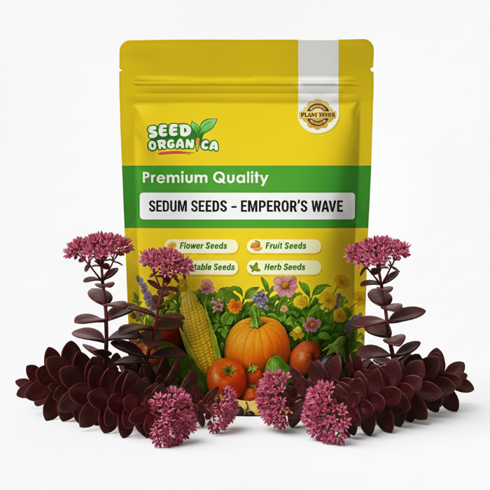 Sedum Seeds – Emperor’s Wave
