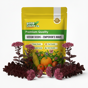 Sedum Seeds – Emperor’s Wave