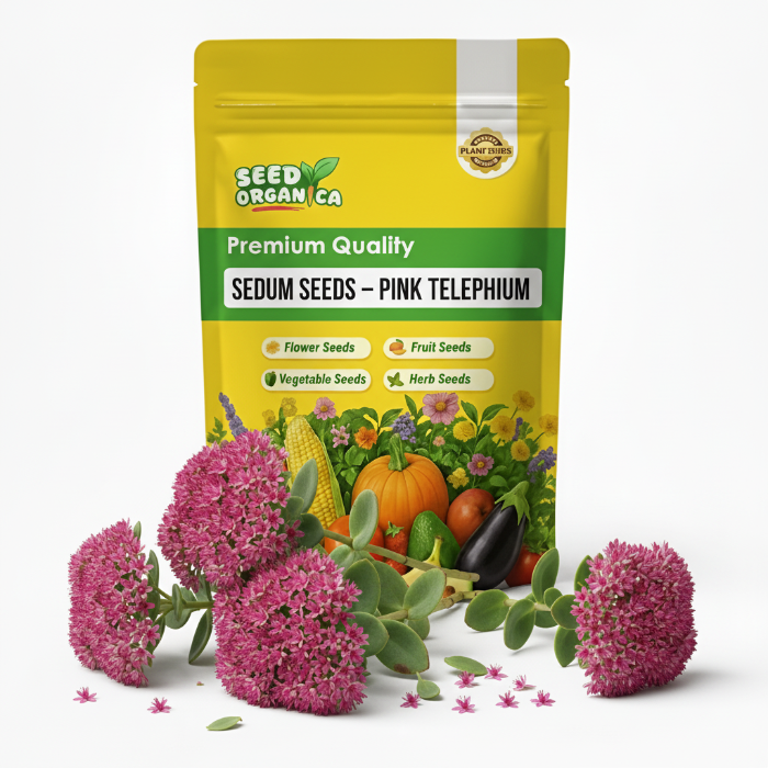 Sedum Seeds – Pink Telephium