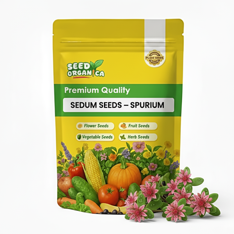 Sedum Seeds – Spurium