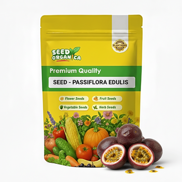Seed - Passiflora Edulis