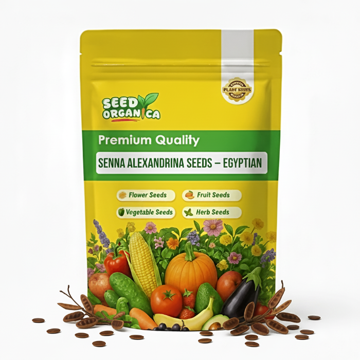 Senna Alexandrina Seeds – Egyptian