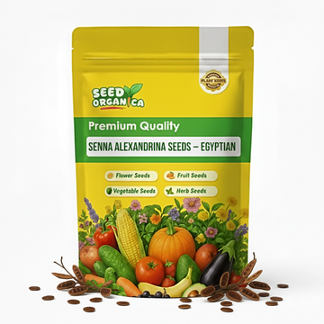 Senna Alexandrina Seeds – Egyptian