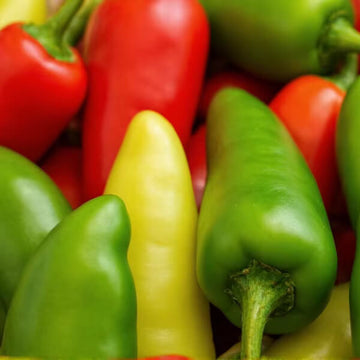 Serrano Pepper Seeds - Yellow Red