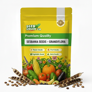 Sesbania Seeds – Grandiflora