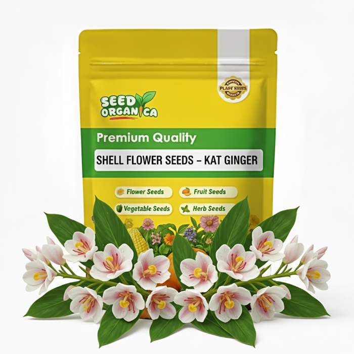 Kat Ginger Shell Flower Seeds | Tropical Plant