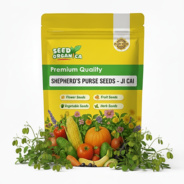 Shepherd’s Purse Seeds – Ji Cai