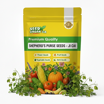 Shepherd’s Purse Seeds – Ji Cai