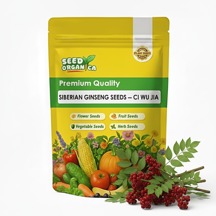Siberian Ginseng Seeds – Ci Wu Jia