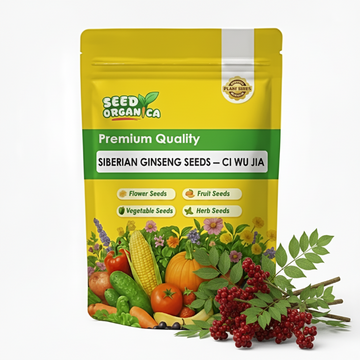 Siberian Ginseng Seeds – Ci Wu Jia