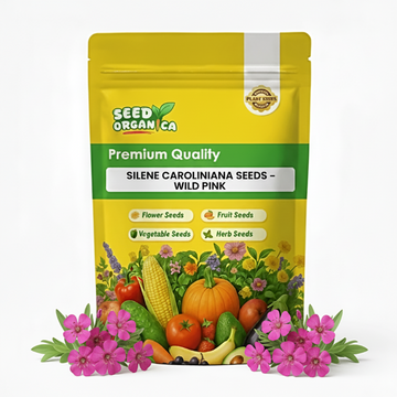 Silene Caroliniana Seeds – Wild Pink
