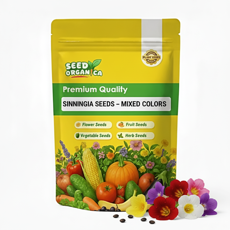 Sinningia Seeds – Mixed Colors