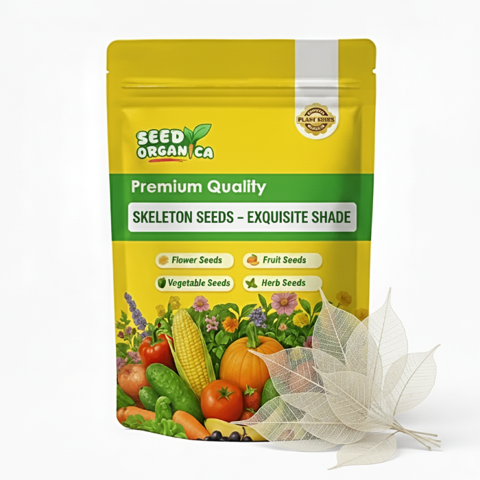 Skeleton  Seeds – Exquisite Shade