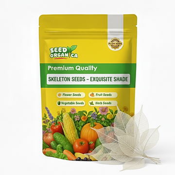 Skeleton  Seeds – Exquisite Shade