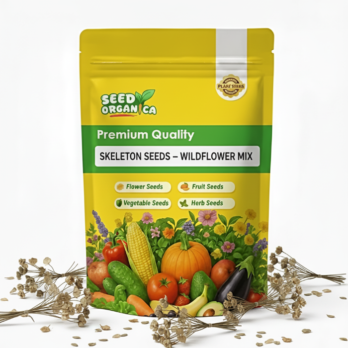 Skeleton Seeds – Wildflower Mix