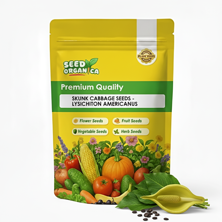 Skunk Cabbage Seeds - Lysichiton Americanus