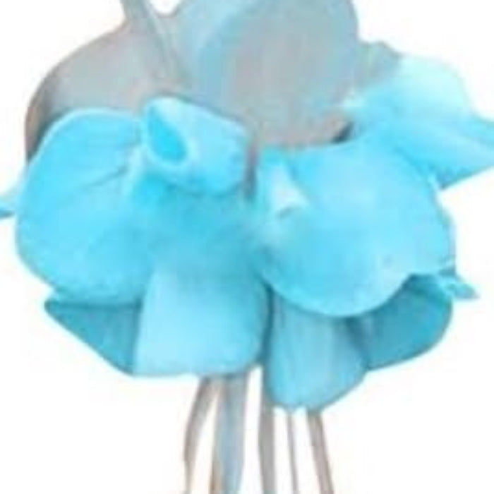 Sky Blue Fuchsia Seeds