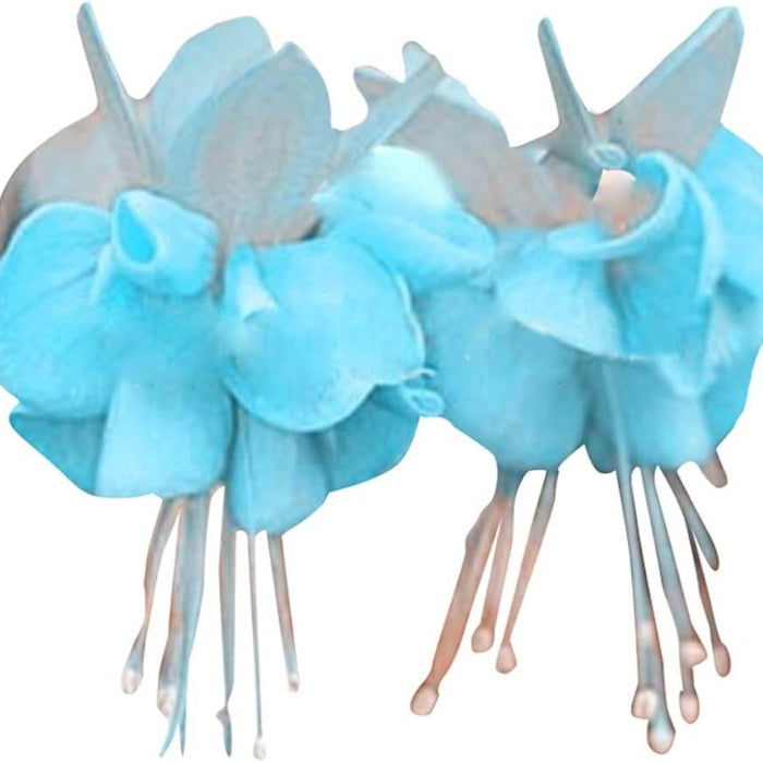 Sky Blue Fuchsia Seeds