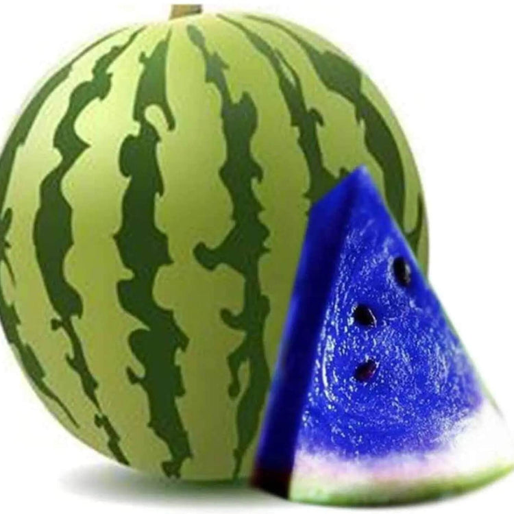 Sky Blue Watermelon Seeds - Fruit Plant For Home Gardens