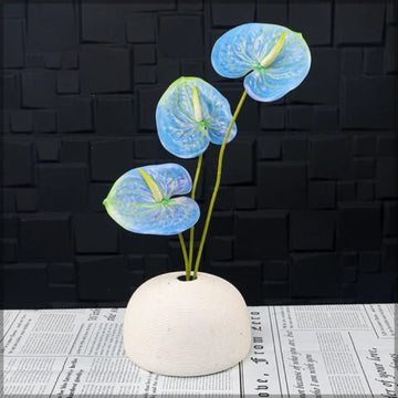 Sky Blue Yellow anthurium