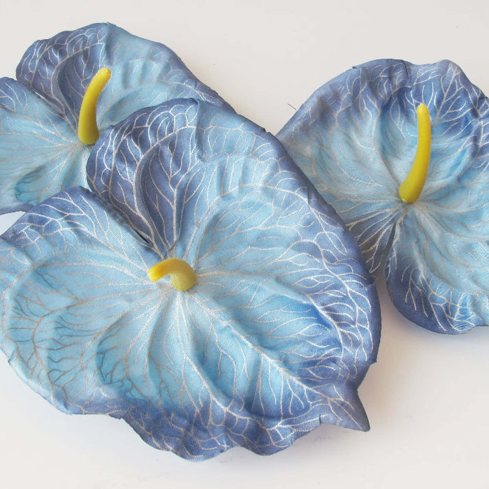 Sky Blue Yellow anthurium
