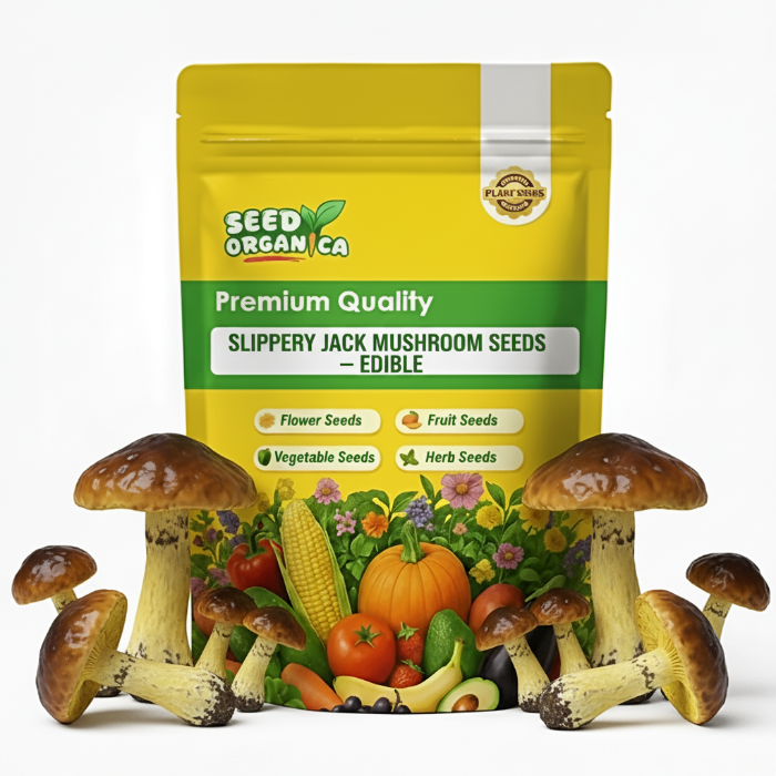 Slippery Jack Mushroom Seeds – Edible