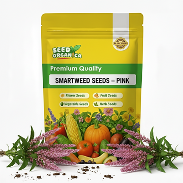 Smartweed Seeds – Pink