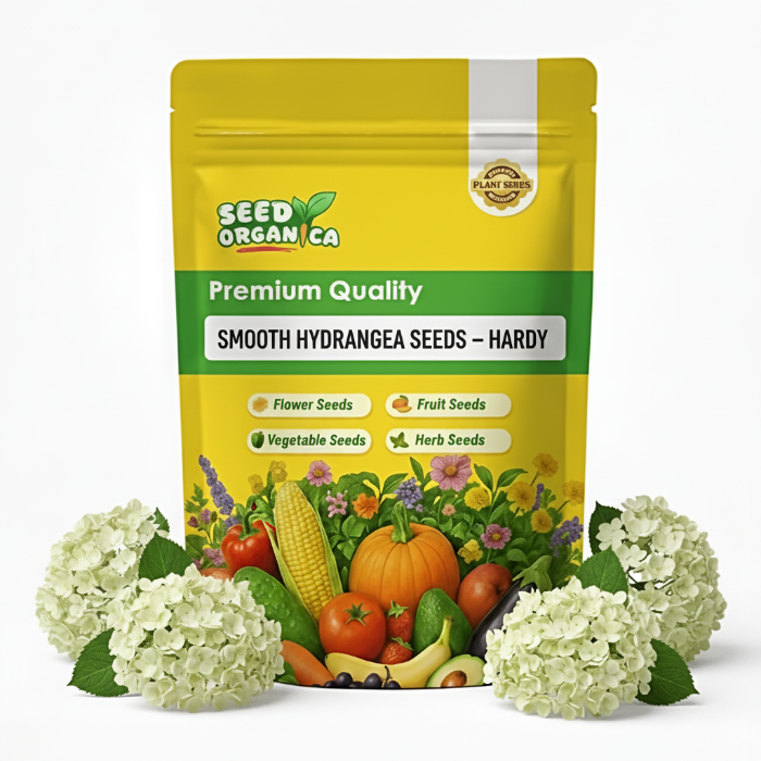 Smooth Hydrangea Seeds – Hardy