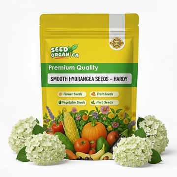 Smooth Hydrangea Seeds – Hardy