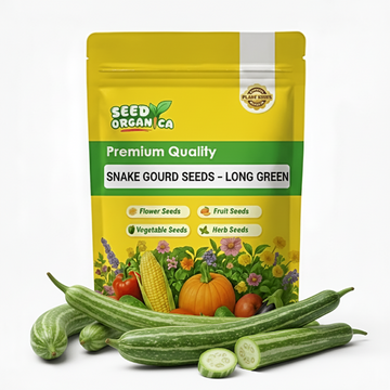Snake Gourd Seeds – Long Green