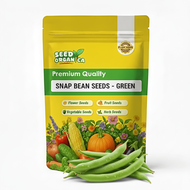 Snap Bean Seeds - Green