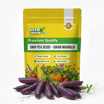 Snap Pea Seeds – Sugar Magnolia