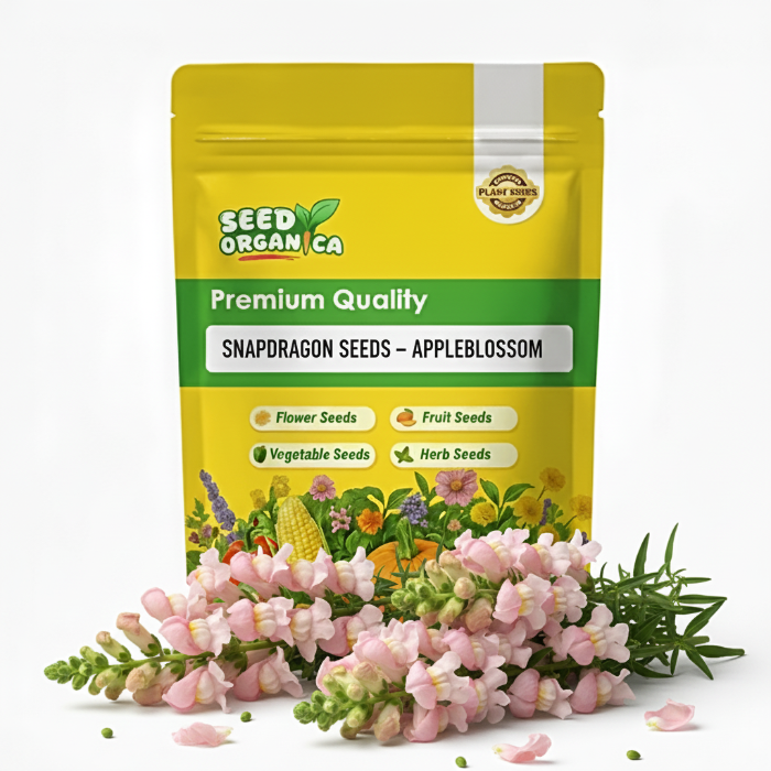 Snapdragon Seeds – Appleblossom