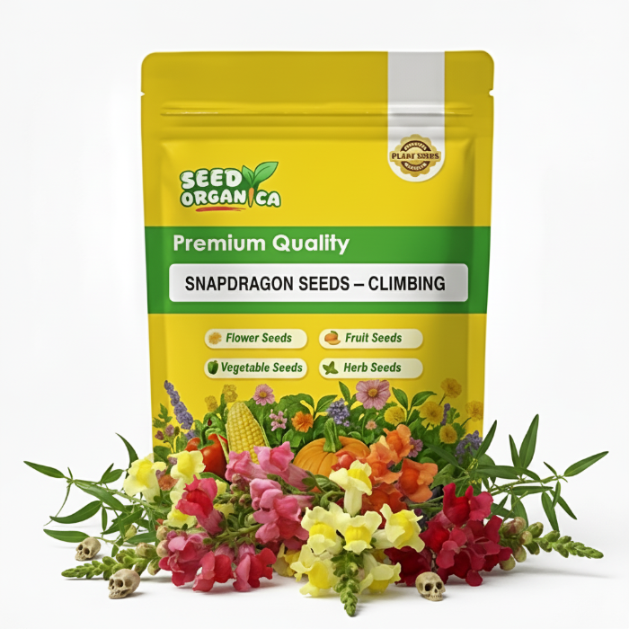 Snapdragon Seeds – Climbing
