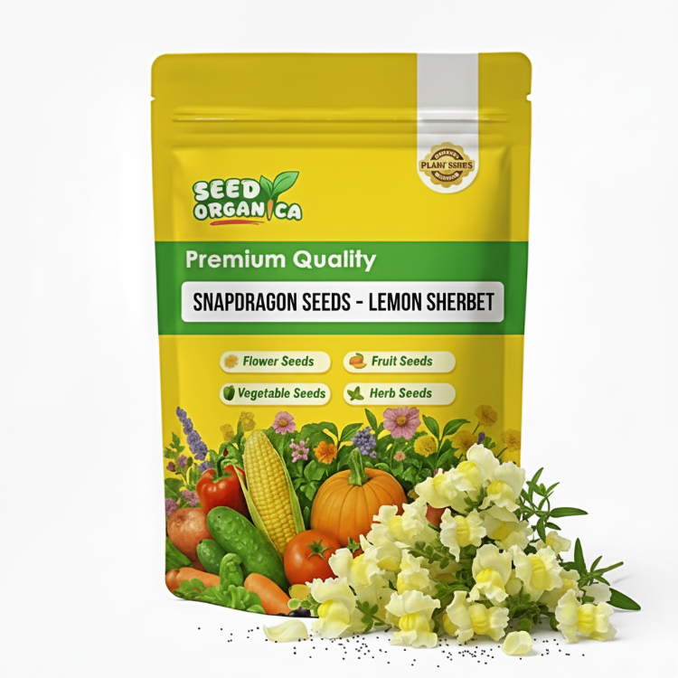 Snapdragon Seeds – Lemon Sherbet