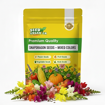 Snapdragon Seeds – Mixed Colors