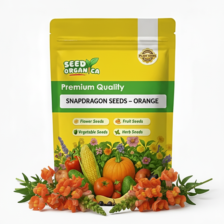 Snapdragon Seeds – Orange