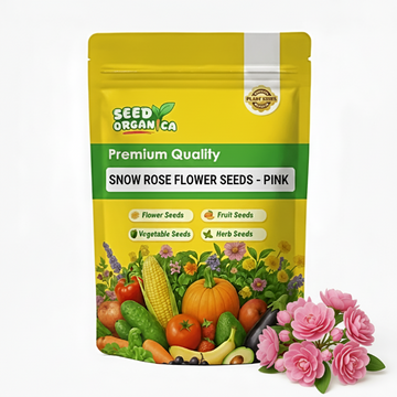Snow Rose Flower Seeds – Pink